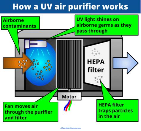 Air Cleaner Filters & UV Bulbs .
